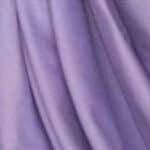 Jersey Lilac